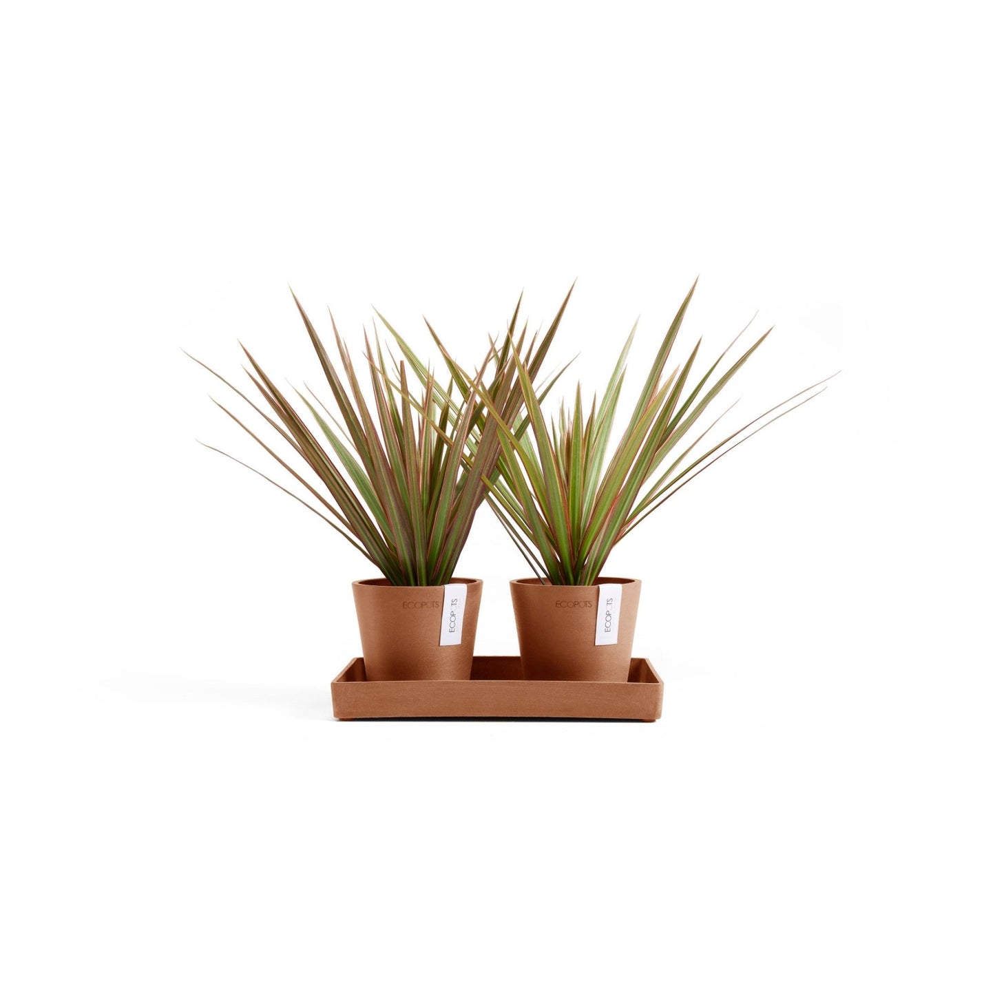 Kukkaruukku - Ecopots - Kukkaruukku Amsterdam 10,5cm 2kpl & esillepanotarjotin 25cm terracotta - Ecopots - Uuden aikakauden kukkaruukku kierrätysmateriaalista