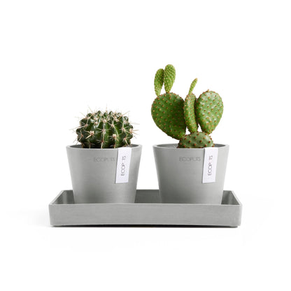 Kukkaruukku Amsterdam 10,5cm 2kpl & esillepanotarjotin 25cm valkoharmaa – kasvin kanssa 2