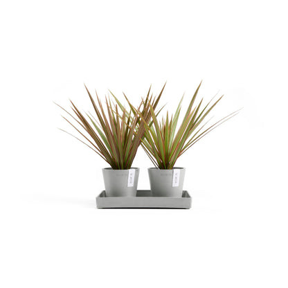 Kukkaruukku Amsterdam 10,5cm 2kpl & esillepanotarjotin 25cm valkoharmaa – kasvin kanssa