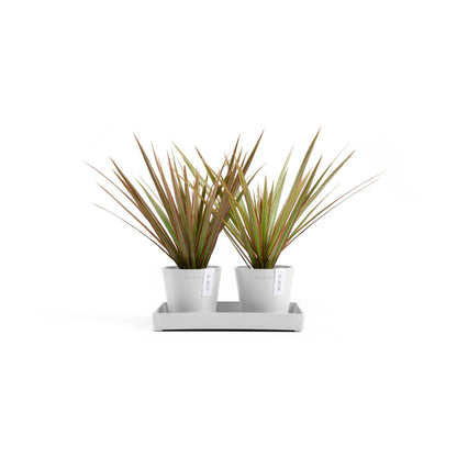 Kukkaruukku Amsterdam 10,5cm 2kpl & esillepanotarjotin 25cm valkoinen – kasvin kanssa