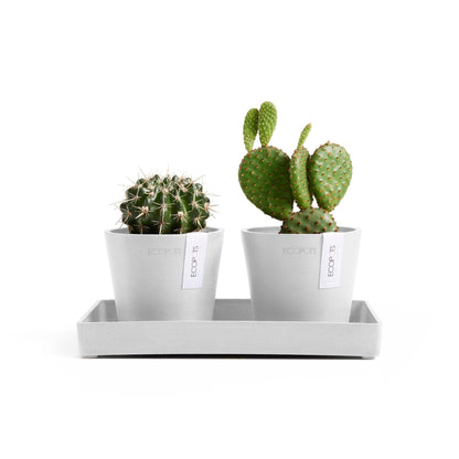 Kukkaruukku Amsterdam 10,5cm 2kpl & esillepanotarjotin 25cm valkoinen – kasvin kanssa 2