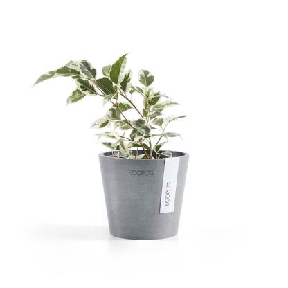Kukkaruukku - Ecopots - Kukkaruukku Amsterdam 10,5cm siniharmaa - Ecopots - Uuden aikakauden kukkaruukku kierrätysmateriaalista