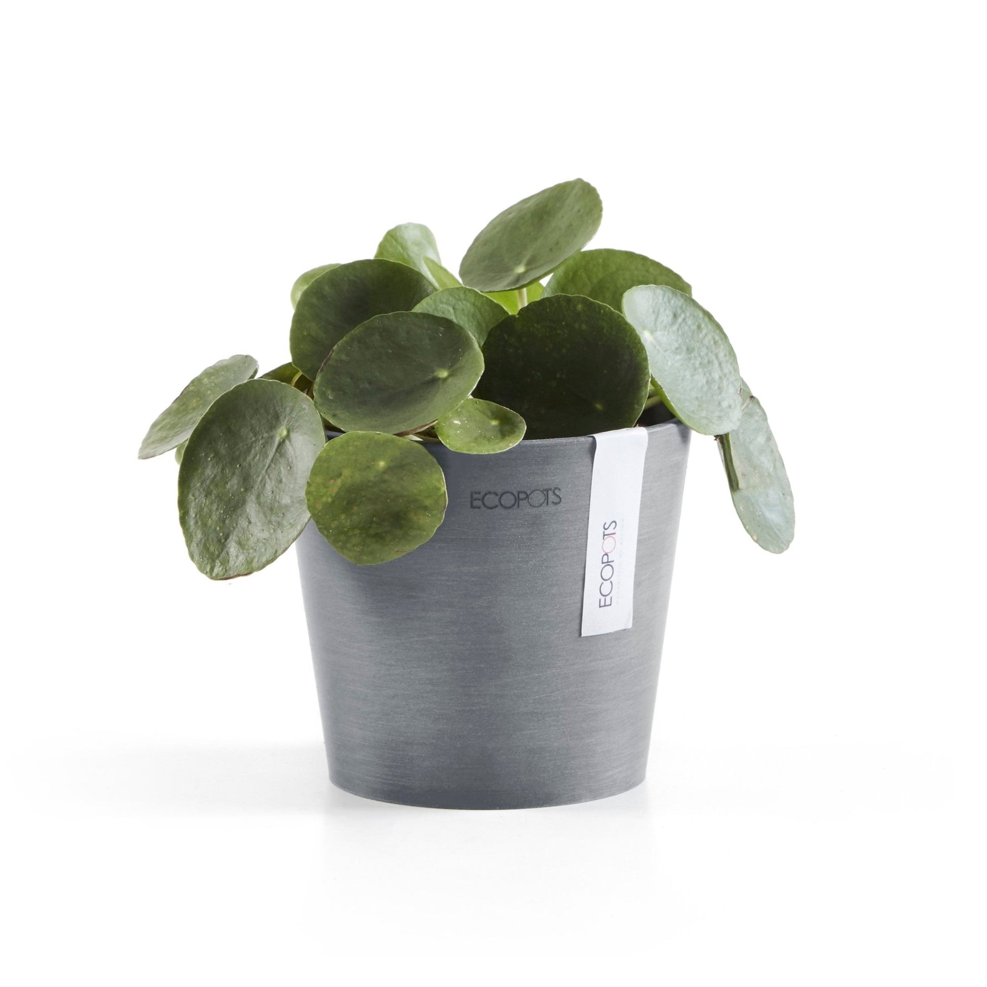 Kukkaruukku - Ecopots - Kukkaruukku Amsterdam 13cm siniharmaa - Ecopots - Uuden aikakauden kukkaruukku kierrätysmateriaalista