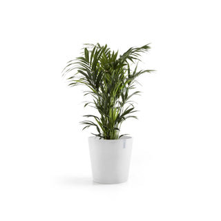 Kruka Amsterdam 50cm vit