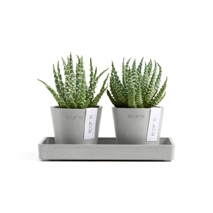 Kukkaruukku Amsterdam 8cm 2kpl & esillepanotarjotin 20cm valkoharmaa – kasvin kanssa