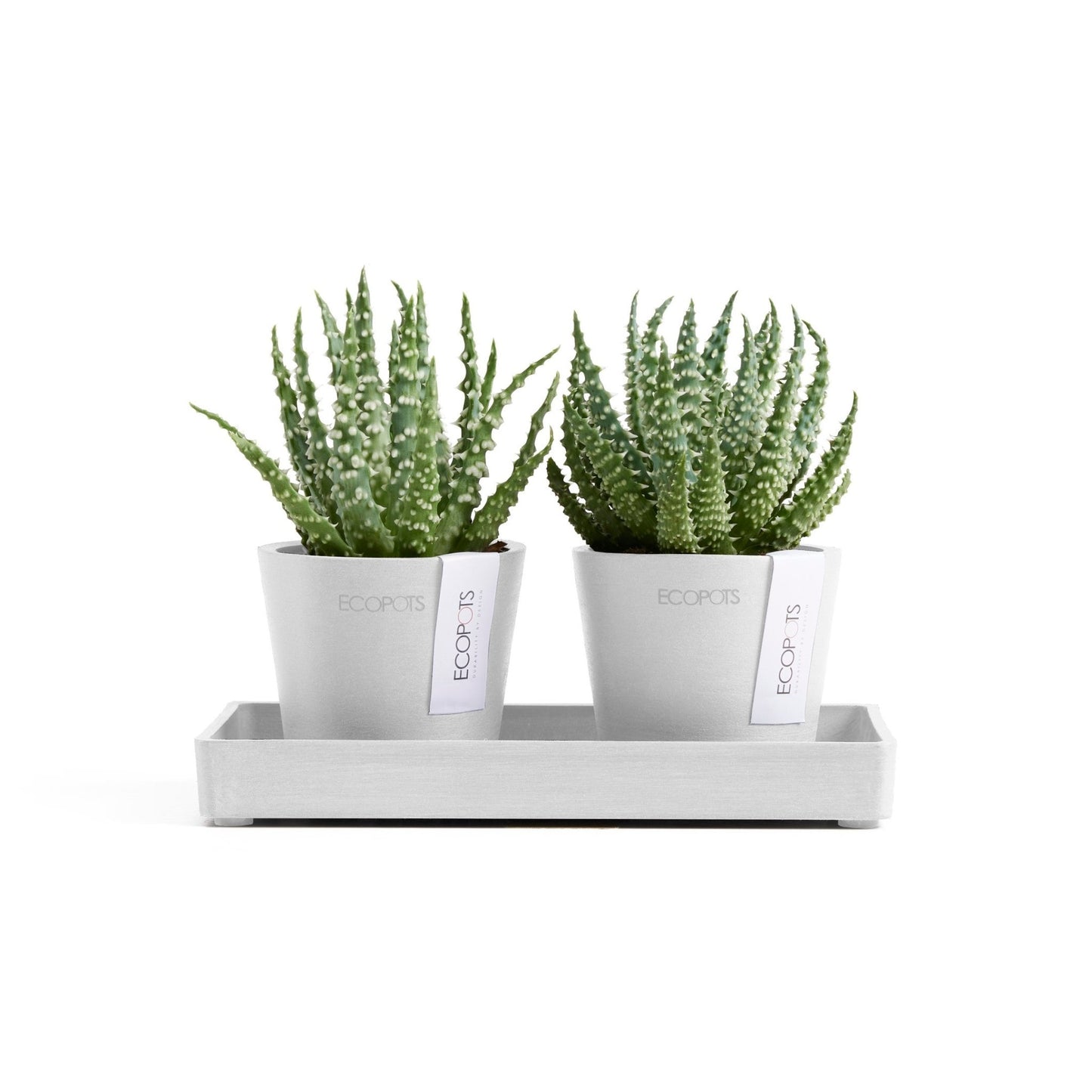 Kukkaruukku - Ecopots - Kukkaruukku Amsterdam 8cm 2kpl & esillepanotarjotin 20cm valkoinen - Ecopots - Uuden aikakauden kukkaruukku kierrätysmateriaalista