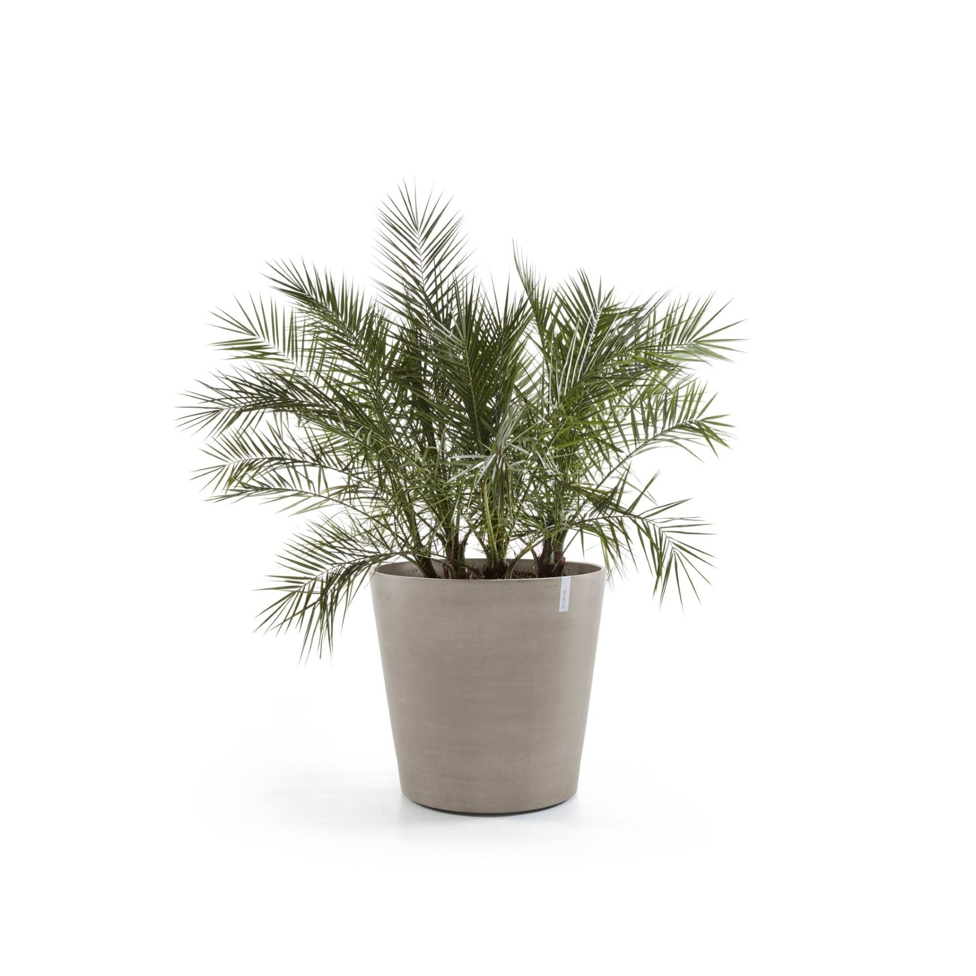 Kukkaruukku - Ecopots - Kukkaruukku Amsterdam pyörillä 80cm taupe - Ecopots - Uuden aikakauden kukkaruukku kierrätysmateriaalista