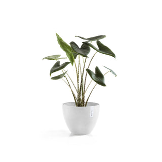 Kruka Antwerpen 30cm vit
