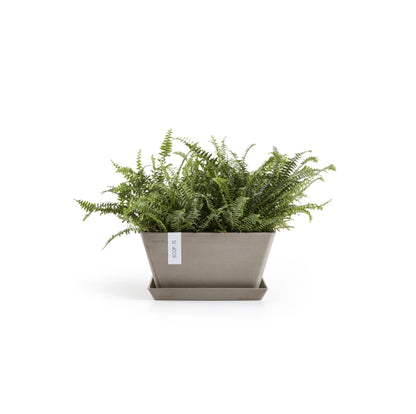 Kukkaruukku Berliini 25cm taupe – aluslautasen ja kasvin kanssa 2