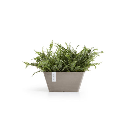 Kukkaruukku Berliini 30cm taupe – kasvin kanssa