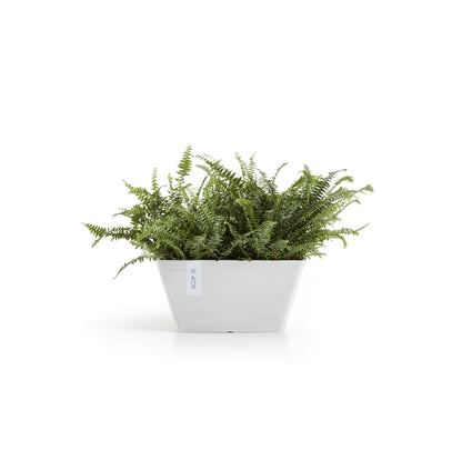 Kukkaruukku Berliini 30cm valkoinen