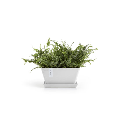 Kukkaruukku Berliini 30cm valkoinen