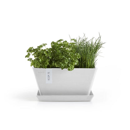 Kukkaruukku Berliini 30cm valkoinen