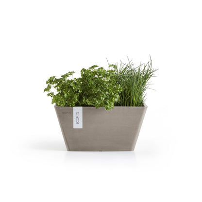 Kukkaruukku Berliini 40cm taupe – kasvin kanssa