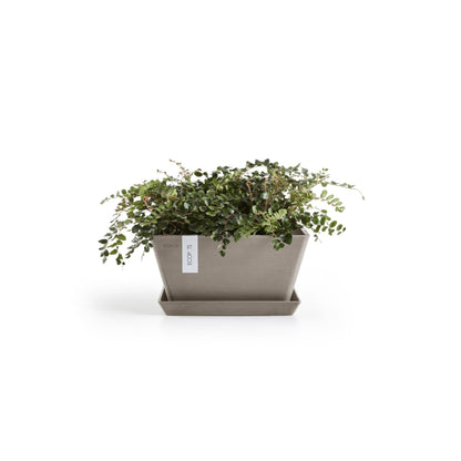 Kukkaruukku Berliini 40cm taupe – aluslautasen ja kasvin kanssa 3