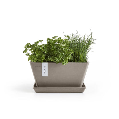 Kukkaruukku Berliini 40cm taupe – aluslautasen ja kasvin kanssa