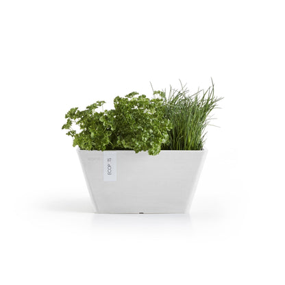 Kukkaruukku Berliini 40cm valkoinen – kasvin kanssa
