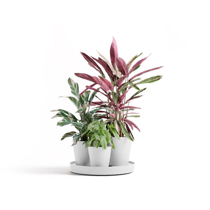 Kukkaruukku Dubai 56cm valkoinen – kasvin kanssa