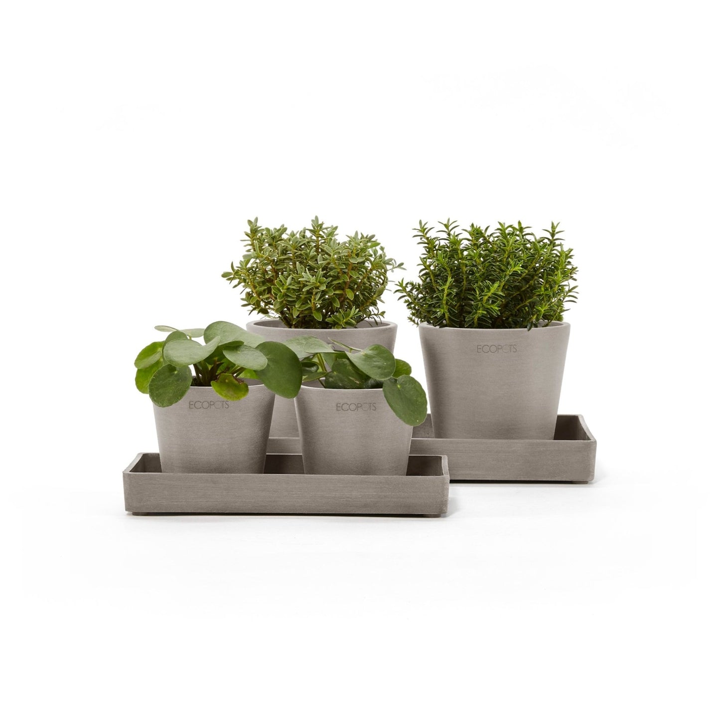 Kukkaruukku - Ecopots - Kukkaruukku esillepanotarjotin 20cm taupe - Ecopots - Uuden aikakauden kukkaruukku kierrätysmateriaalista