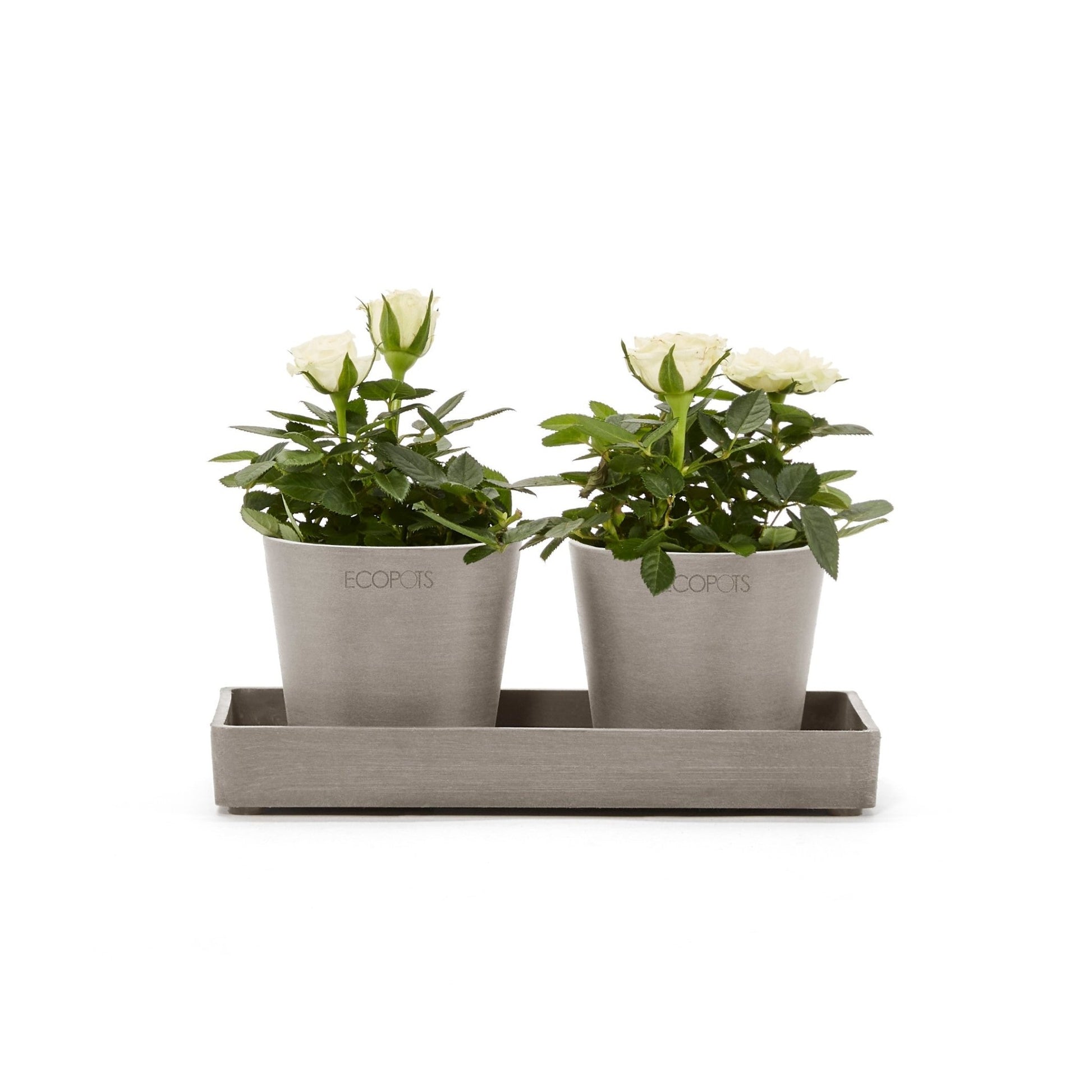 Kukkaruukku - Ecopots - Kukkaruukku esillepanotarjotin 20cm taupe - Ecopots - Uuden aikakauden kukkaruukku kierrätysmateriaalista