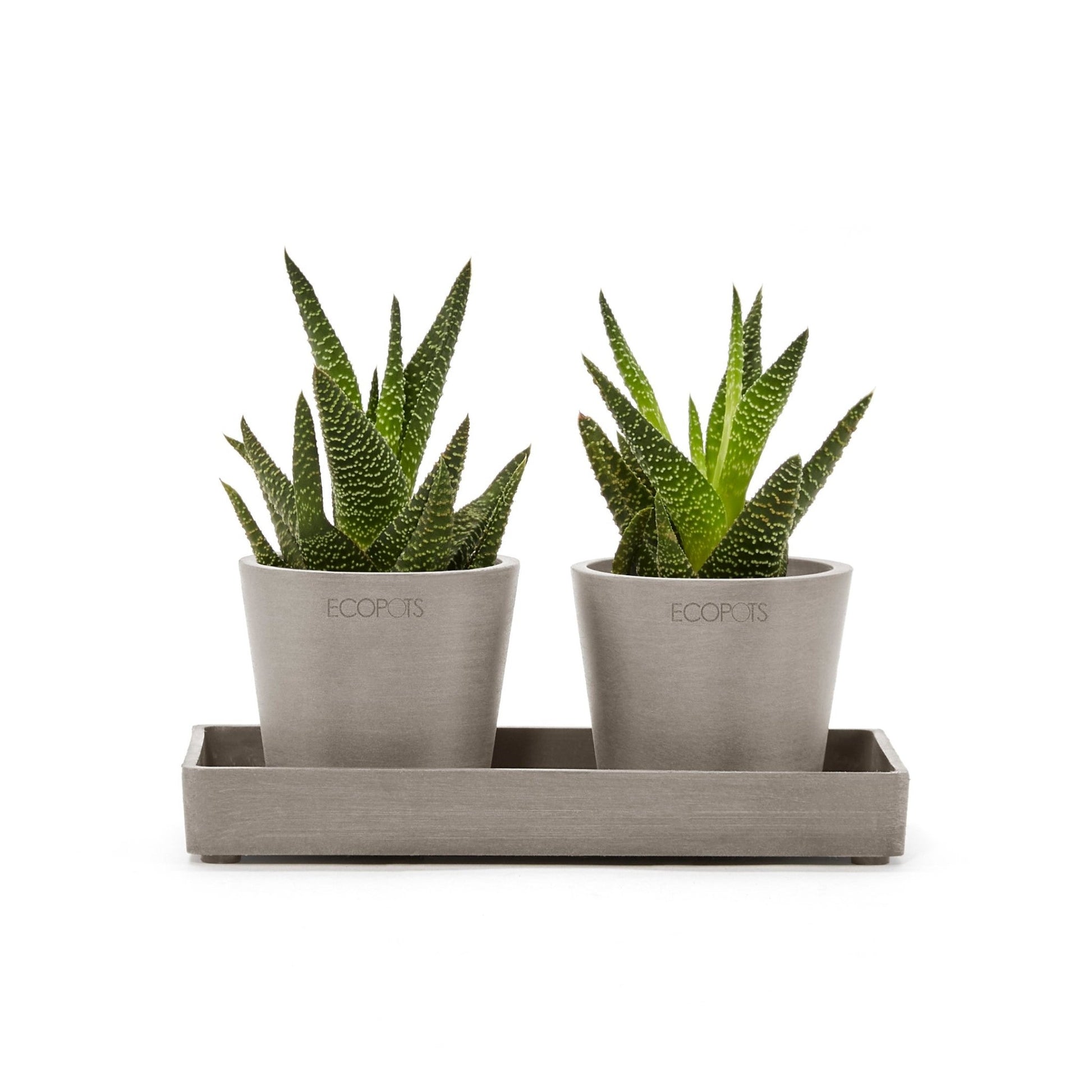 Kukkaruukku - Ecopots - Kukkaruukku esillepanotarjotin 20cm taupe - Ecopots - Uuden aikakauden kukkaruukku kierrätysmateriaalista