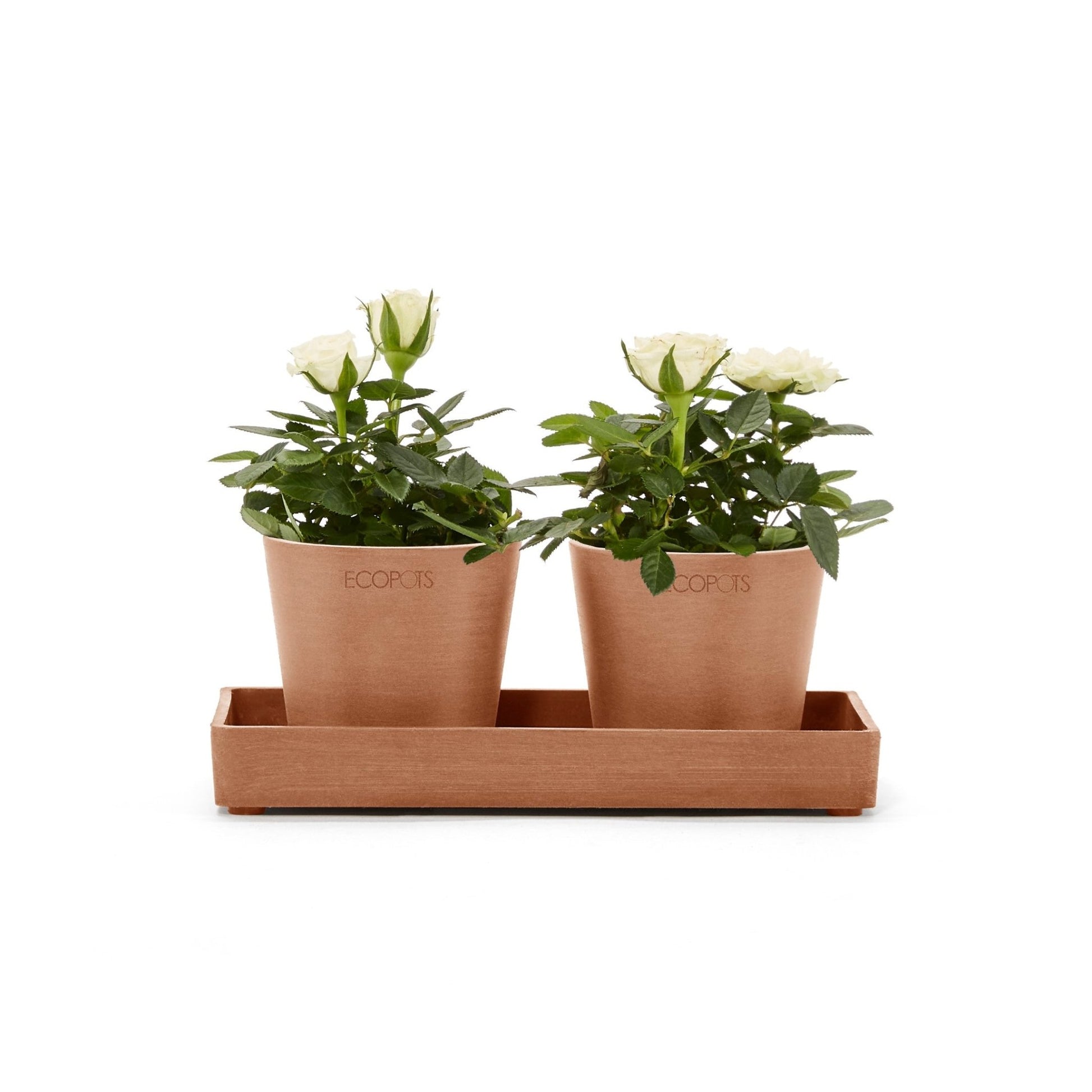 Kukkaruukku - Ecopots - Kukkaruukku esillepanotarjotin 20cm terracotta - Ecopots - Uuden aikakauden kukkaruukku kierrätysmateriaalista