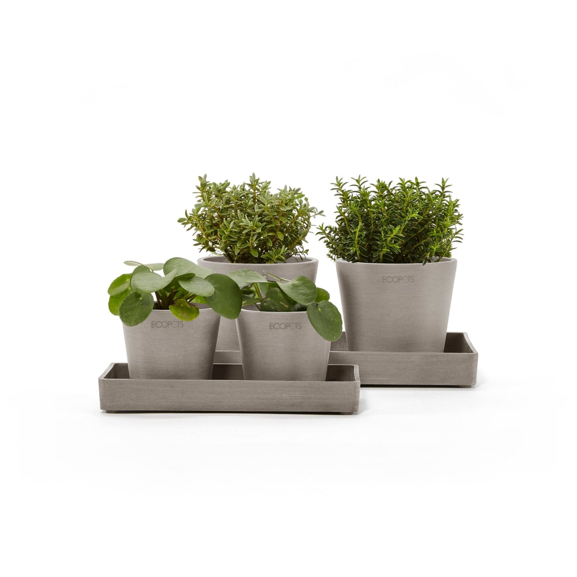 Kukkaruukku - Ecopots - Kukkaruukku esillepanotarjotin 25cm taupe - Ecopots - Uuden aikakauden kukkaruukku kierrätysmateriaalista