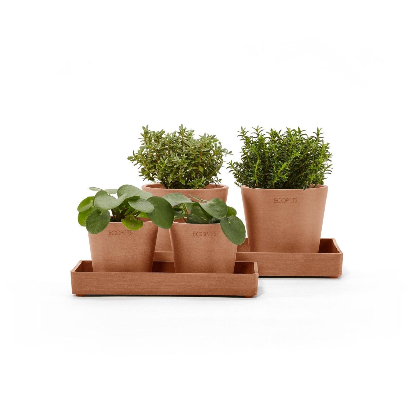 Kukkaruukku - Ecopots - Kukkaruukku esillepanotarjotin 25cm terracotta - Ecopots - Uuden aikakauden kukkaruukku kierrätysmateriaalista