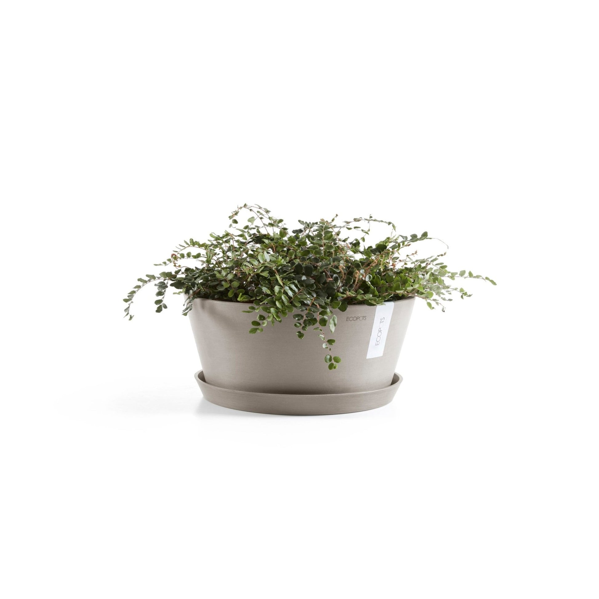 Kukkaruukku - Ecopots - Kukkaruukku Frankfurt 30cm taupe - Ecopots - Uuden aikakauden kukkaruukku kierrätysmateriaalista