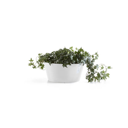 Kukkaruukku Frankfurt 30cm valkoinen – kasvin kanssa