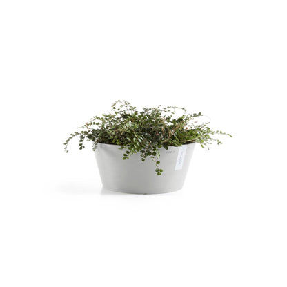Kukkaruukku Frankfurt 40cm valkoharmaa – kasvin kanssa 3