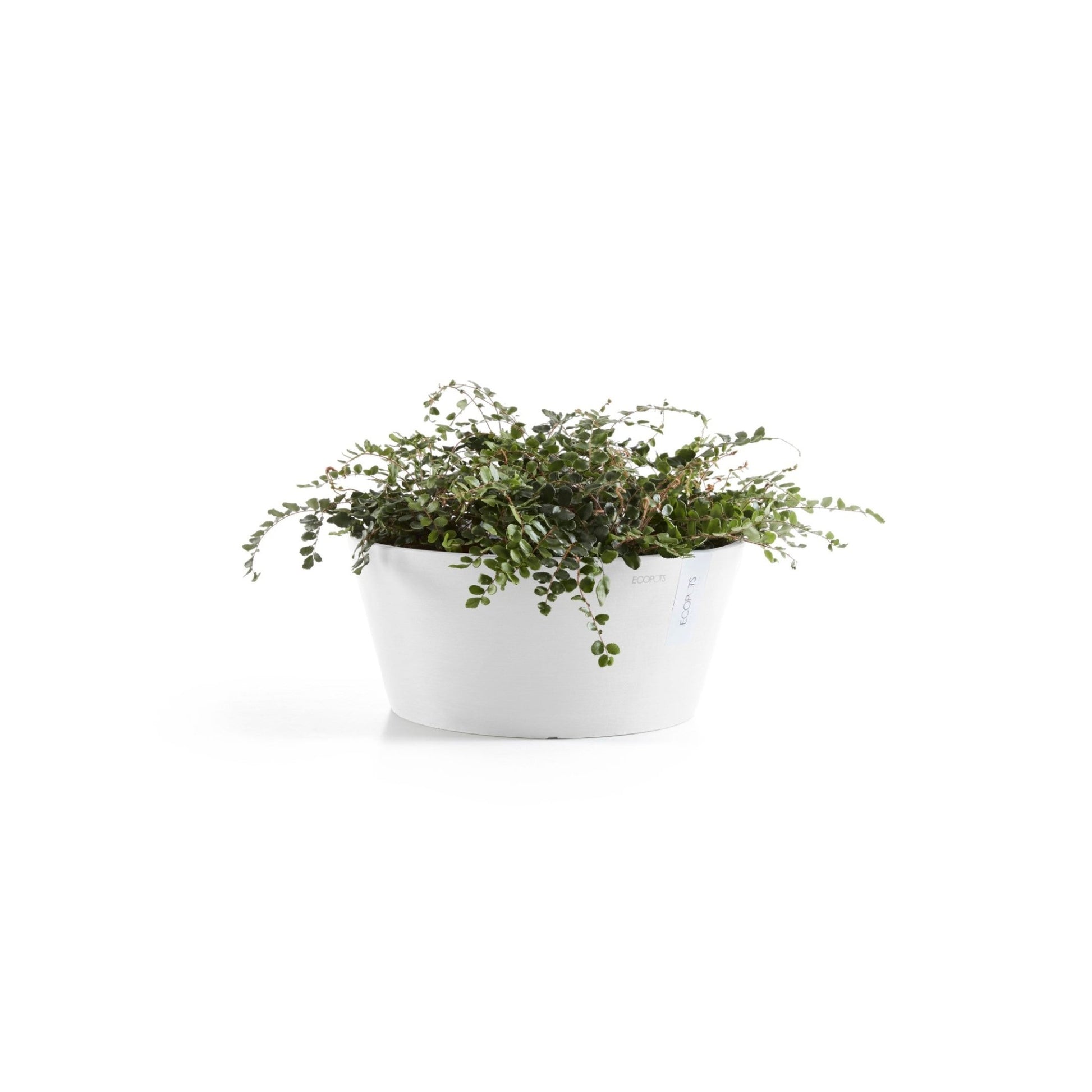 Kukkaruukku - Ecopots - Kukkaruukku Frankfurt 40cm valkoinen - Ecopots - Uuden aikakauden kukkaruukku kierrätysmateriaalista