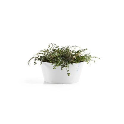 Kukkaruukku Frankfurt 40cm valkoinen – kasvin kanssa 3