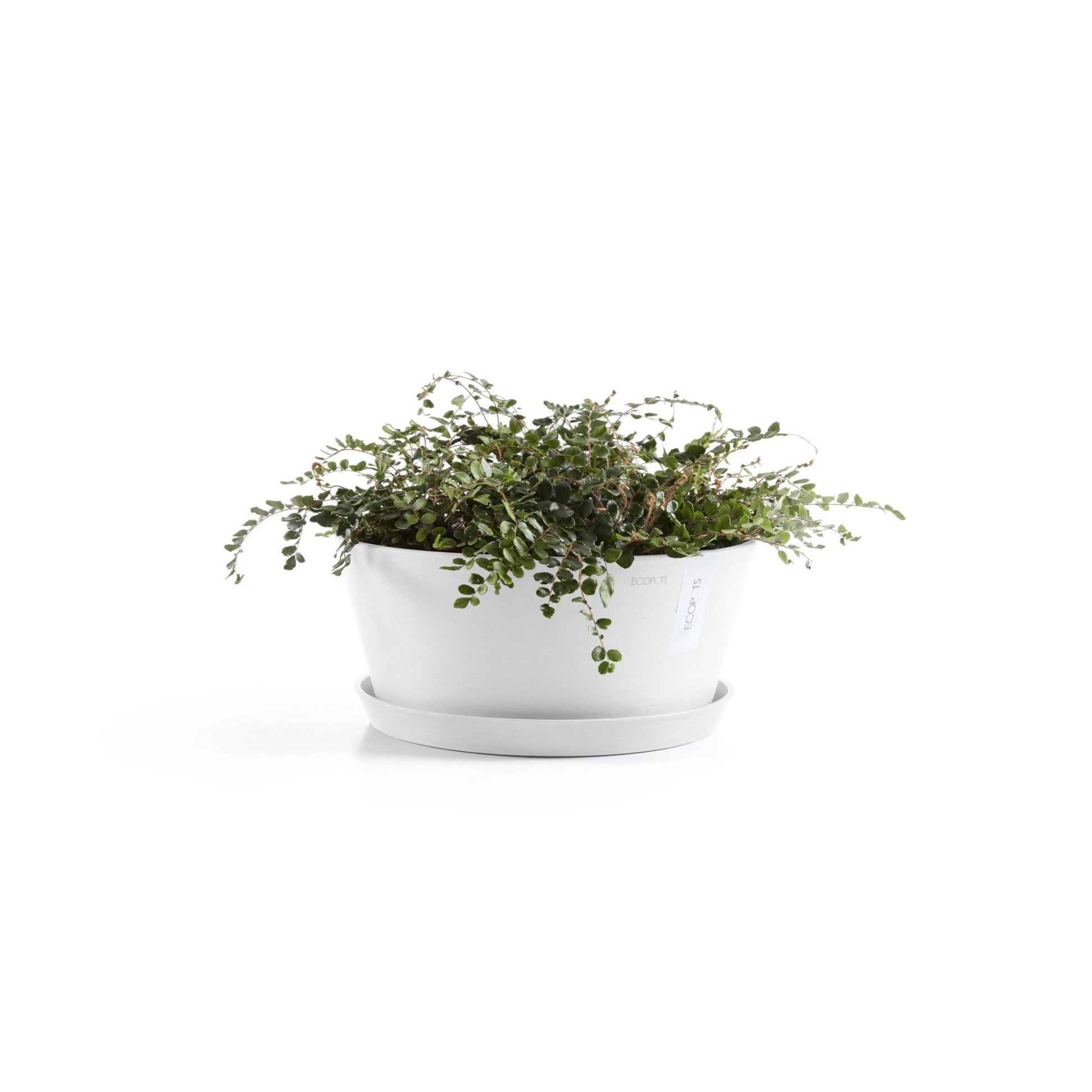 Kukkaruukku - Ecopots - Kukkaruukku Frankfurt 40cm valkoinen - Ecopots - Uuden aikakauden kukkaruukku kierrätysmateriaalista