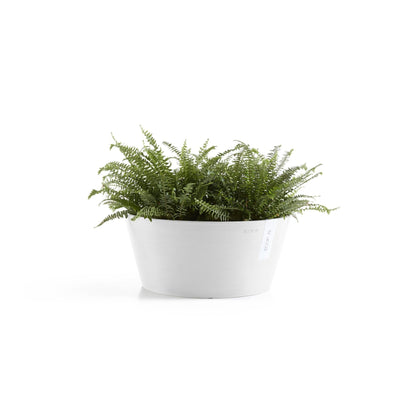 Kukkaruukku Frankfurt 50cm valkoinen – kasvin kanssa