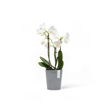 Kukkaruukku - Ecopots - Kukkaruukku Morinda 11cm siniharmaa - Ecopots - Uuden aikakauden kukkaruukku kierrätysmateriaalista