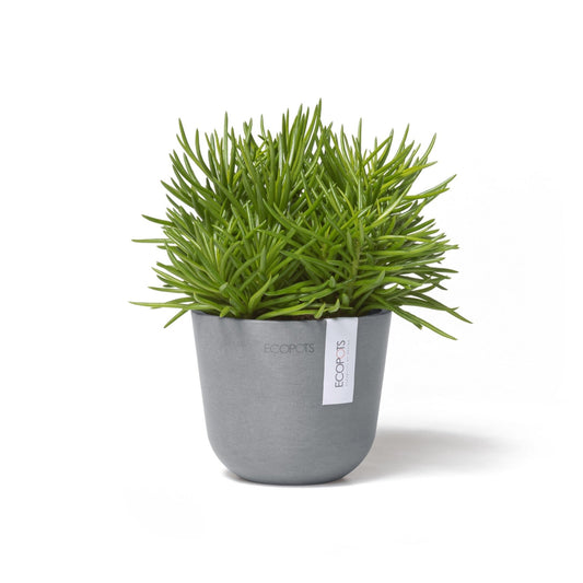 Kukkaruukku - Ecopots - Kukkaruukku Oslo 11,5cm siniharmaa - Ecopots - Uuden aikakauden kukkaruukku kierrätysmateriaalista