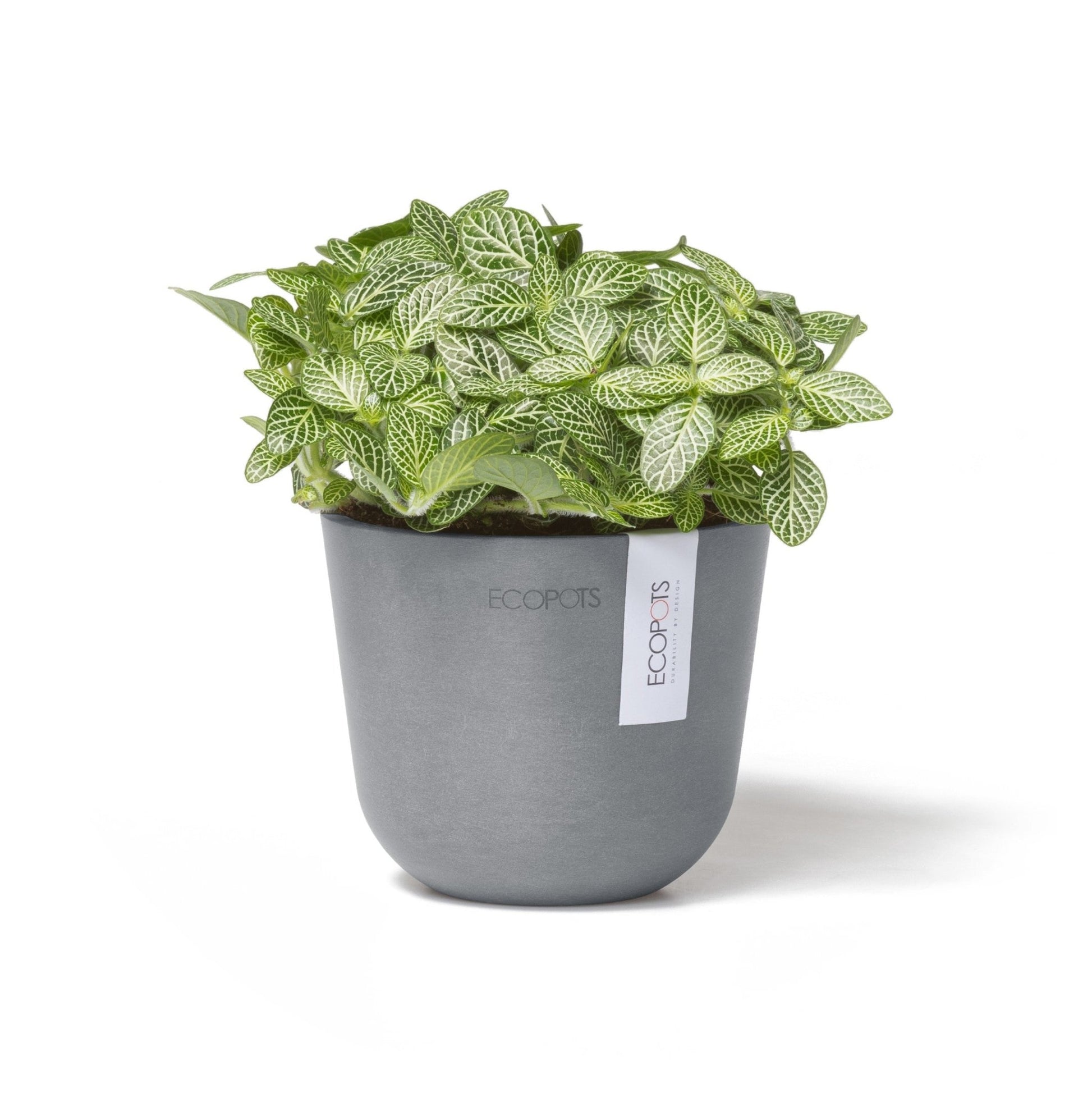 Kukkaruukku - Ecopots - Kukkaruukku Oslo 11,5cm siniharmaa - Ecopots - Uuden aikakauden kukkaruukku kierrätysmateriaalista