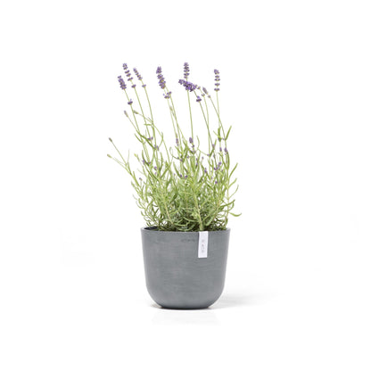 Kukkaruukku - Ecopots - Kukkaruukku Oslo 19cm siniharmaa - Ecopots - Uuden aikakauden kukkaruukku kierrätysmateriaalista