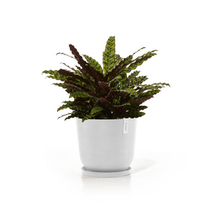 Kukkaruukku - Ecopots - Kukkaruukku Oslo 45cm valkoinen - Ecopots - Uuden aikakauden kukkaruukku kierrätysmateriaalista