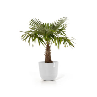 Kruka Oslo 55cm vit