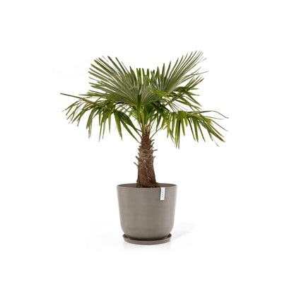 Kukkaruukku Oslo 65cm taupe