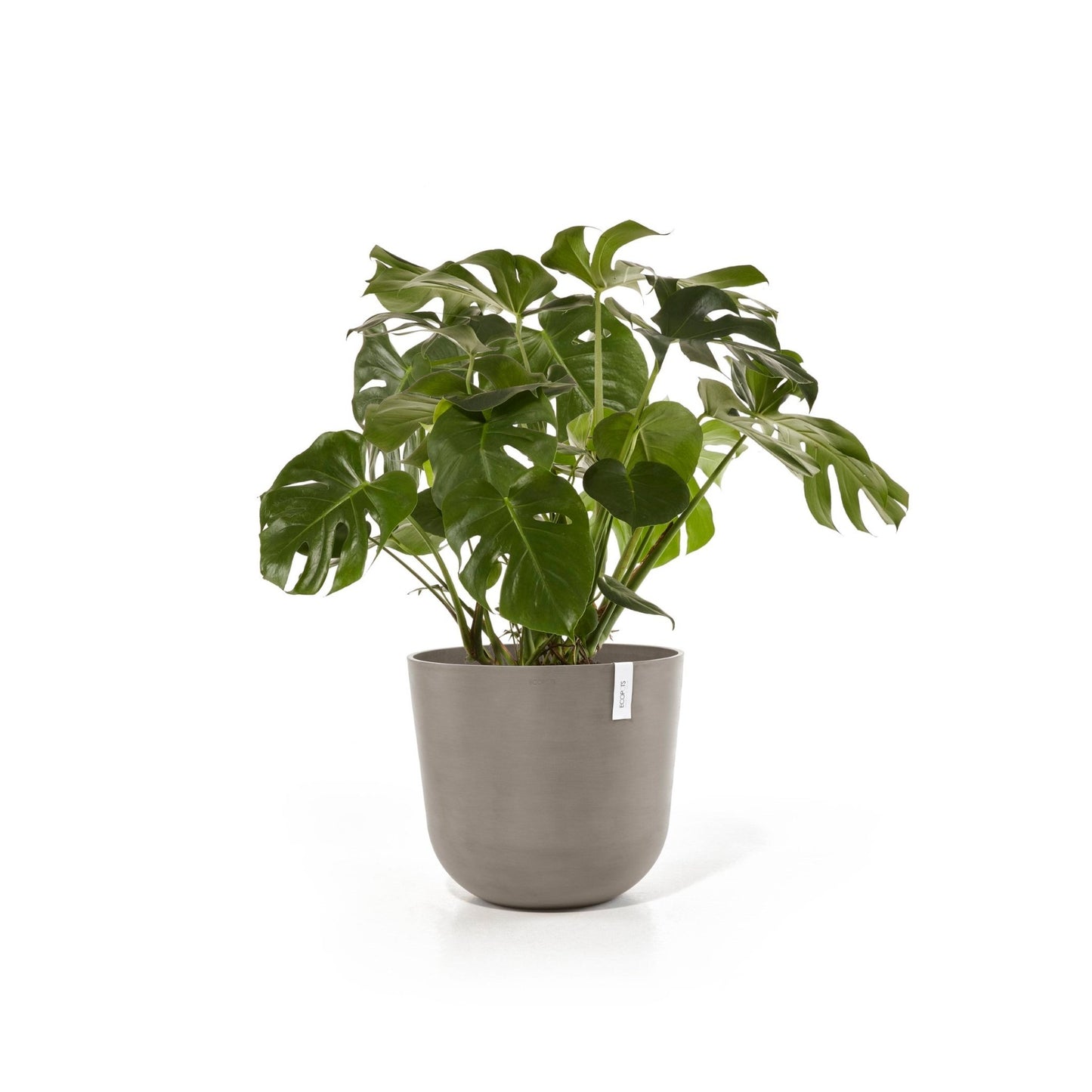 Kukkaruukku - Ecopots - Kukkaruukku Oslo 65cm taupe - Ecopots - Uuden aikakauden kukkaruukku kierrätysmateriaalista