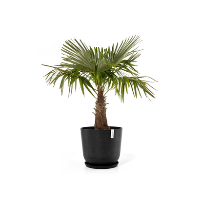 Kukkaruukku - Ecopots - Kukkaruukku Oslo 65cm tummanharmaa - Ecopots - Uuden aikakauden kukkaruukku kierrätysmateriaalista