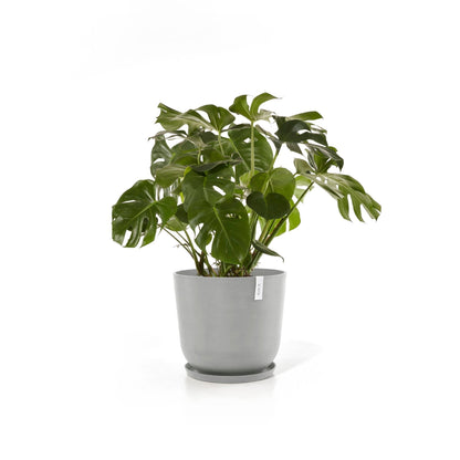 Kukkaruukku Oslo 65cm valkoharmaa