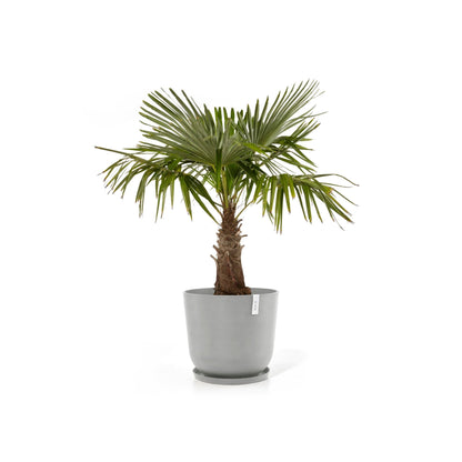 Kukkaruukku Oslo 65cm valkoharmaa