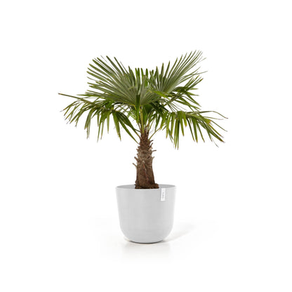 Kukkaruukku Oslo 65cm valkoinen