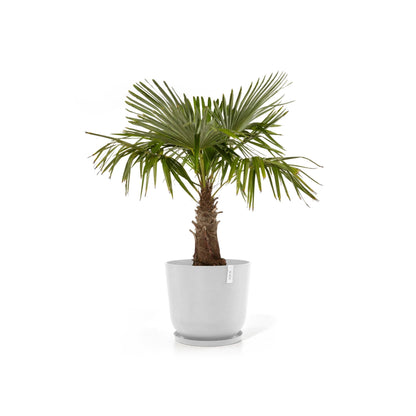 Kukkaruukku Oslo 65cm valkoinen