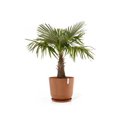 Kukkaruukku - Ecopots - Kukkaruukku Oslo 75cm terracotta - Ecopots - Uuden aikakauden kukkaruukku kierrätysmateriaalista