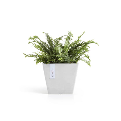 Kukkaruukku Rotterdam 20cm valkoinen – kasvin kanssa 3